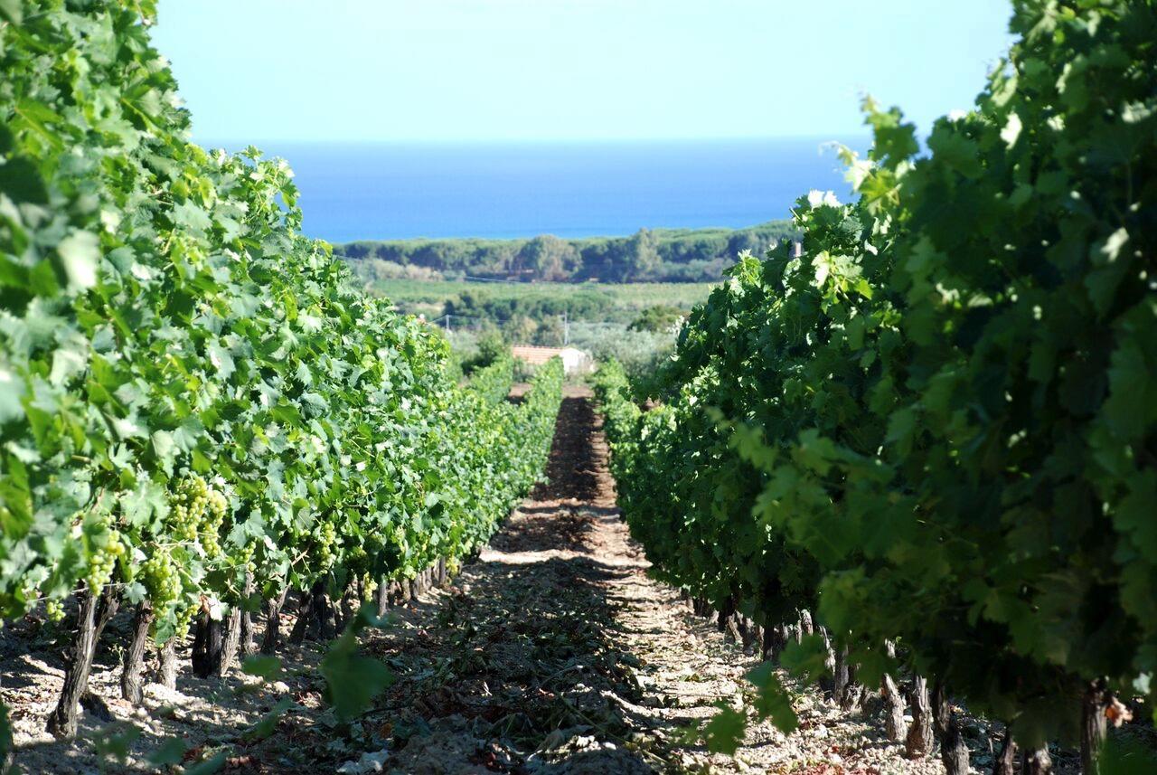 Serra Niedda Resort & Agriturismo ซอร์โซ ภายนอก รูปภาพ