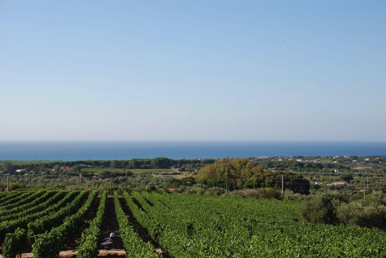 Serra Niedda Resort & Agriturismo ซอร์โซ ภายนอก รูปภาพ