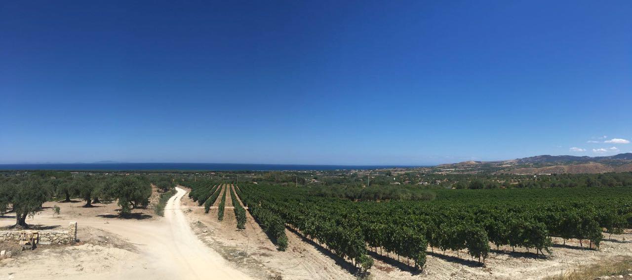 Serra Niedda Resort & Agriturismo ซอร์โซ ภายนอก รูปภาพ