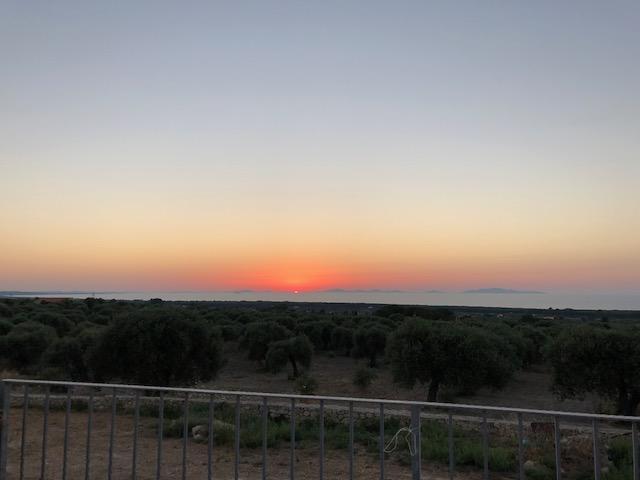 Serra Niedda Resort & Agriturismo ซอร์โซ ภายนอก รูปภาพ